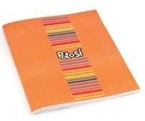 CUADERNO POTOSI 24 hjs CUADRICULADO #